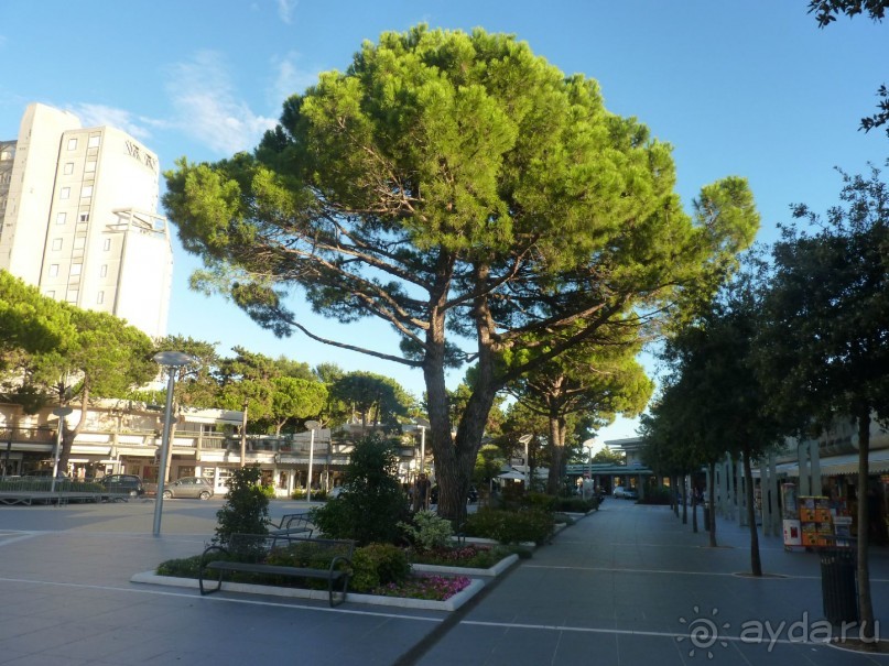 очаровательное местечко