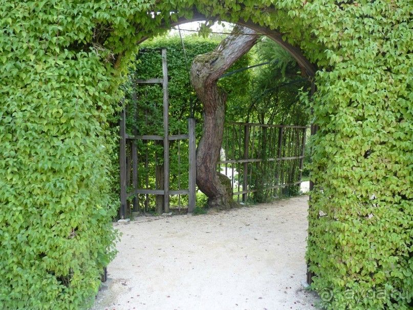 Romantische Strasse - информация к посещению.