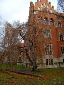 Почему-бы не побывать в Польше?  Рождественская ярмарка в Кракове и отдых в Бескидах.