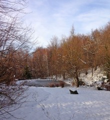 Почему-бы не побывать в Польше?  Рождественская ярмарка в Кракове и отдых в Бескидах.