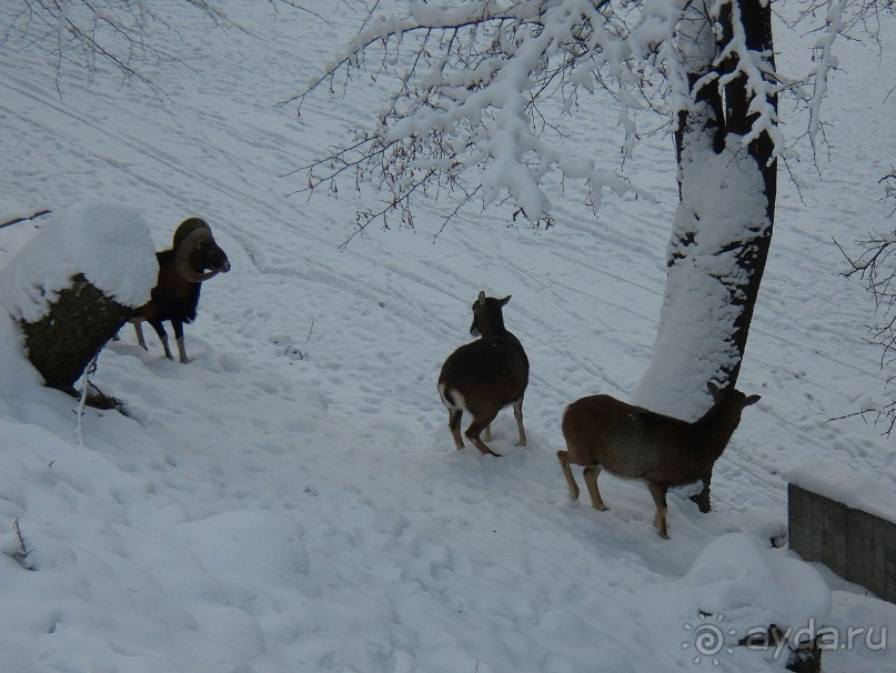 Почему-бы не побывать в Польше?  Рождественская ярмарка в Кракове и отдых в Бескидах.