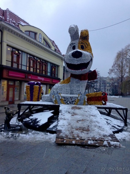 Почему-бы не побывать в Польше?  Рождественская ярмарка в Кракове и отдых в Бескидах.