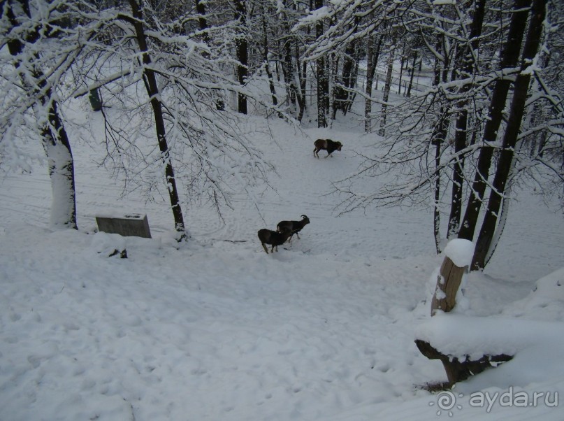 Почему-бы не побывать в Польше?  Рождественская ярмарка в Кракове и отдых в Бескидах.