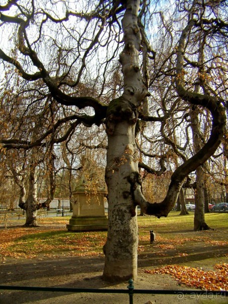 Почему-бы не побывать в Польше?  Рождественская ярмарка в Кракове и отдых в Бескидах.