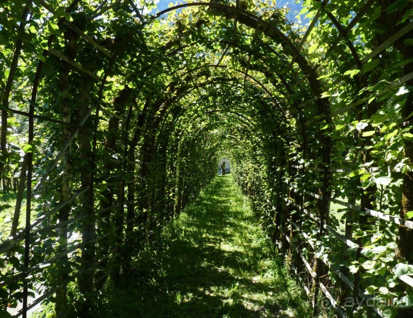 Бавария, Австрия, Италия и др.