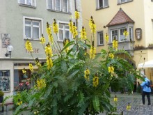 фото Гармиш-Партенкирхена