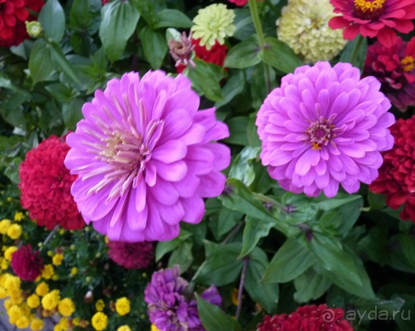 Бавария, Австрия, Италия и др.