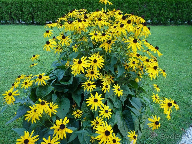 Бавария, Австрия, Италия и др.