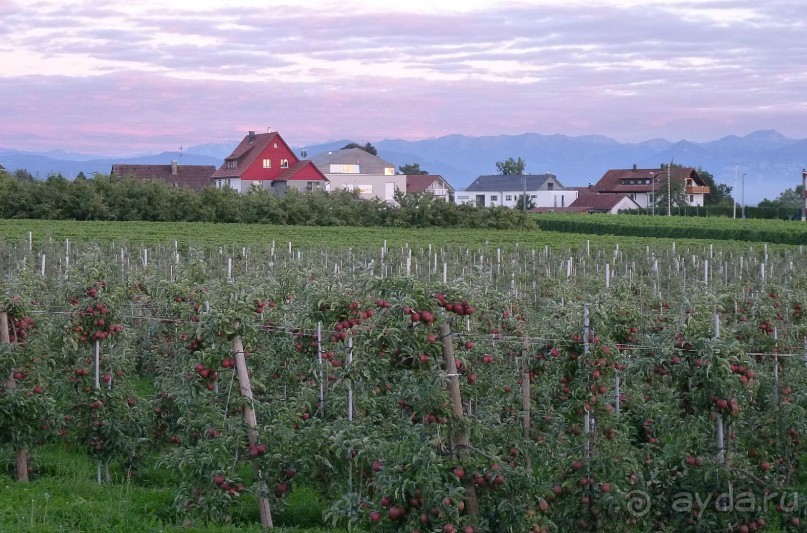 Бавария, Австрия, Италия и др.