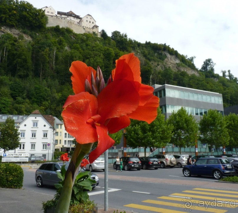 Бавария, Австрия, Италия и др.
