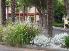 Часть 3. А впереди еще Италия и др. 