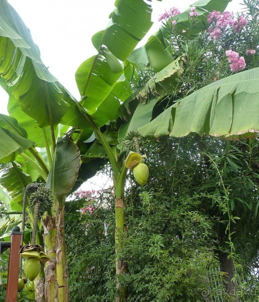 Часть 3. А впереди еще Италия и др. 