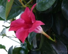 Часть 3. А впереди еще Италия и др. 