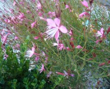 Часть 3. А впереди еще Италия и др. 