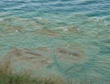 Часть 3. А впереди еще Италия и др. 