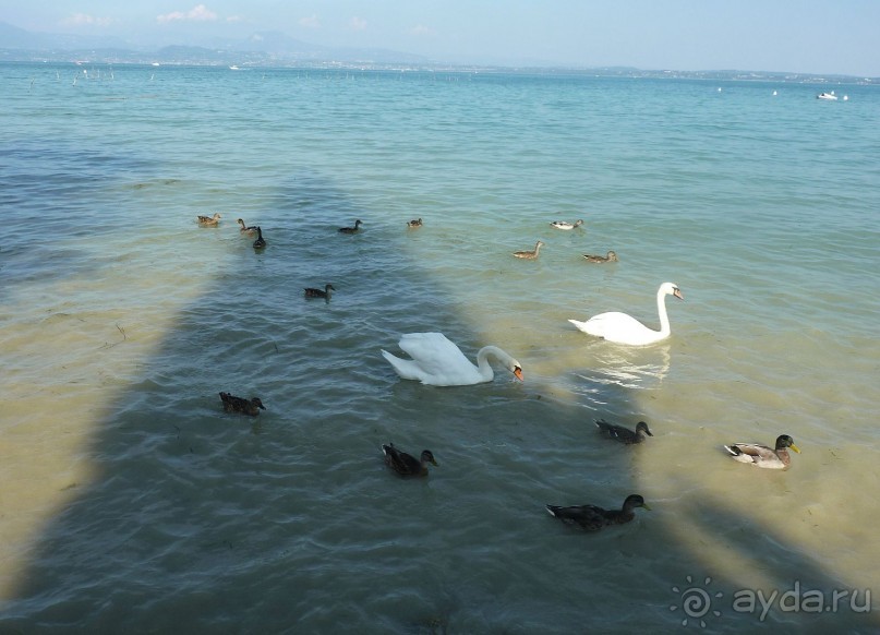 Часть 3. А впереди еще Италия и др. 