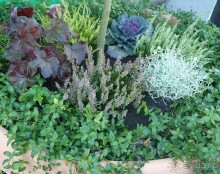 Часть 3. А впереди еще Италия и др. 