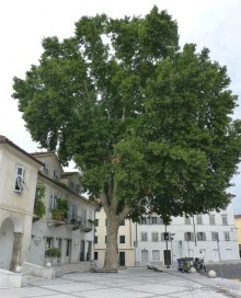 Часть 3. А впереди еще Италия и др. 