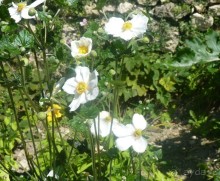 Часть 3. А впереди еще Италия и др. 