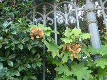 Часть 3. А впереди еще Италия и др. 