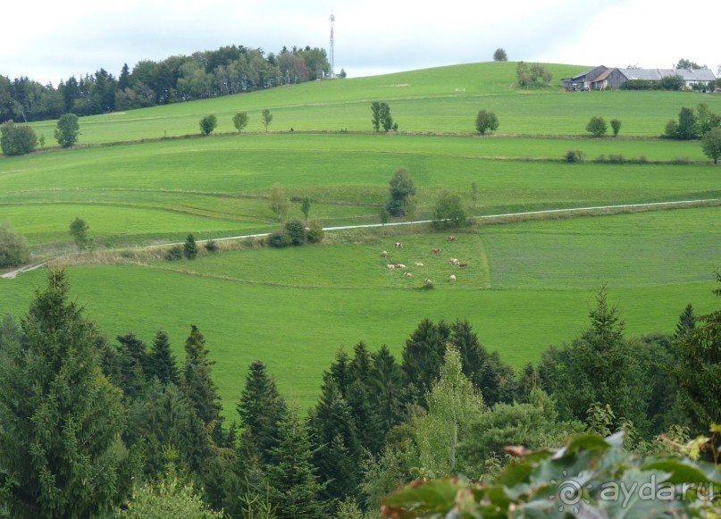 Часть 3. А впереди еще Италия и др. 