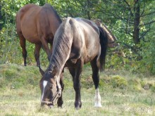 Часть 3. А впереди еще Италия и др. 