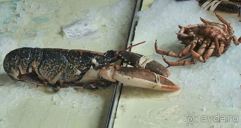 Часть 3. А впереди еще Италия и др. 