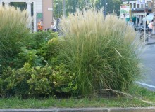 Часть 3. А впереди еще Италия и др. 