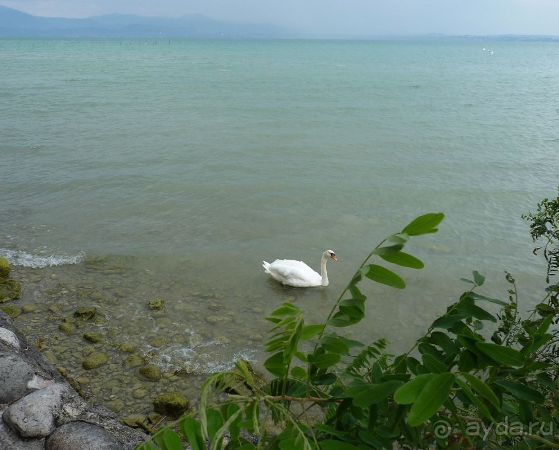 Часть 3. А впереди еще Италия и др. 