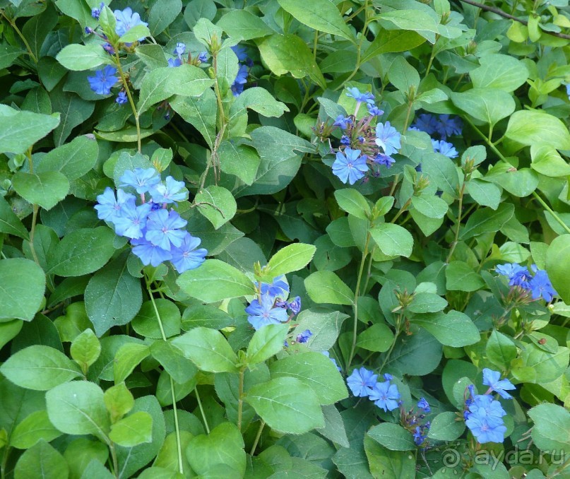 Часть 3. А впереди еще Италия и др. 