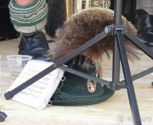 Часть 3. А впереди еще Италия и др. 