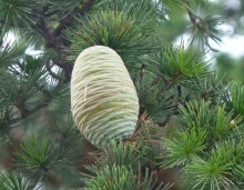 Часть 3. А впереди еще Италия и др. 