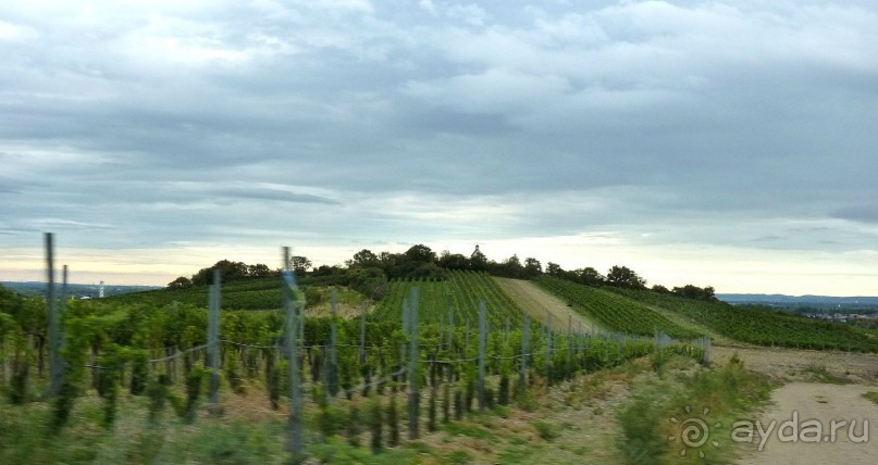 Часть 3. А впереди еще Италия и др. 