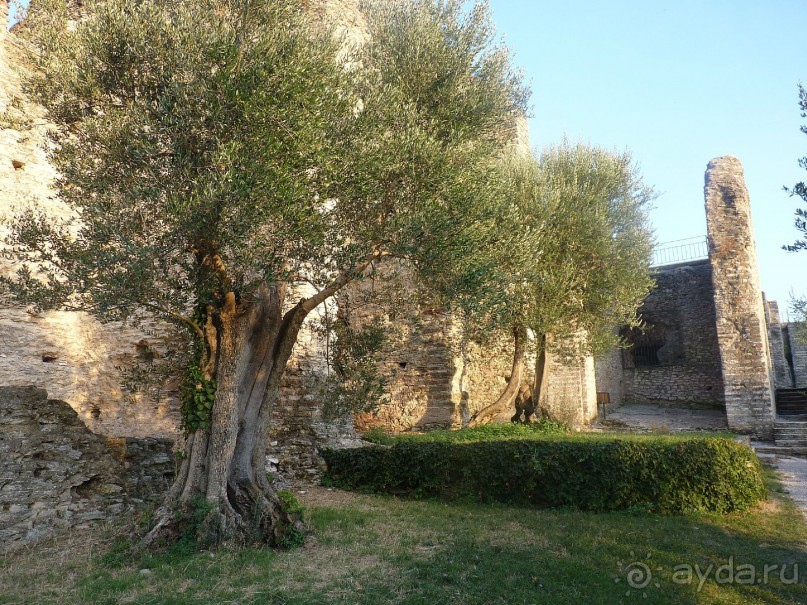 Часть 3. А впереди еще Италия и др. 