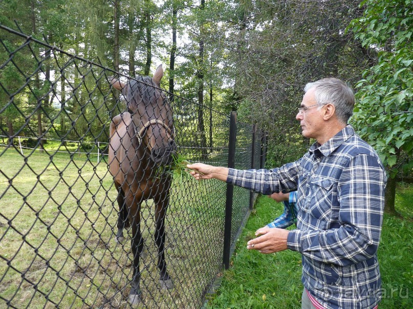 Часть 3. А впереди еще Италия и др. 