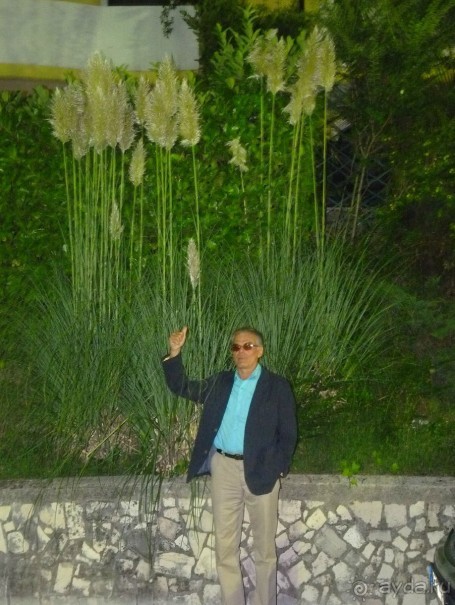 Часть 3. А впереди еще Италия и др. 