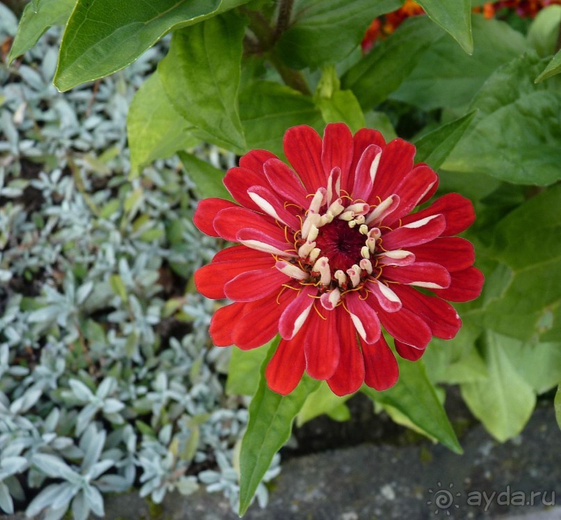 Часть 3. А впереди еще Италия и др. 