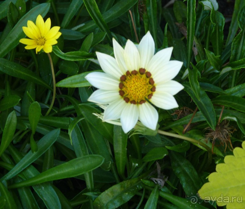 Часть 3. А впереди еще Италия и др. 