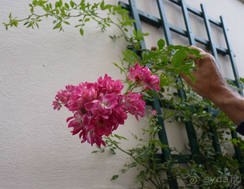 Часть 3. А впереди еще Италия и др. 