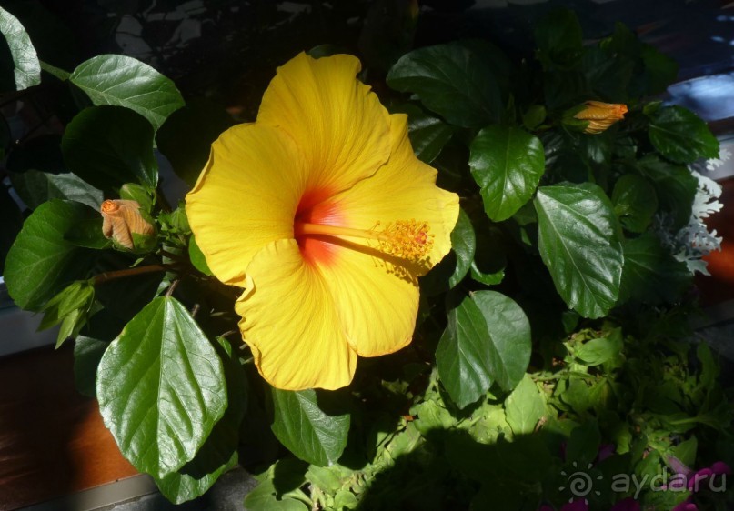 Часть 3. А впереди еще Италия и др. 