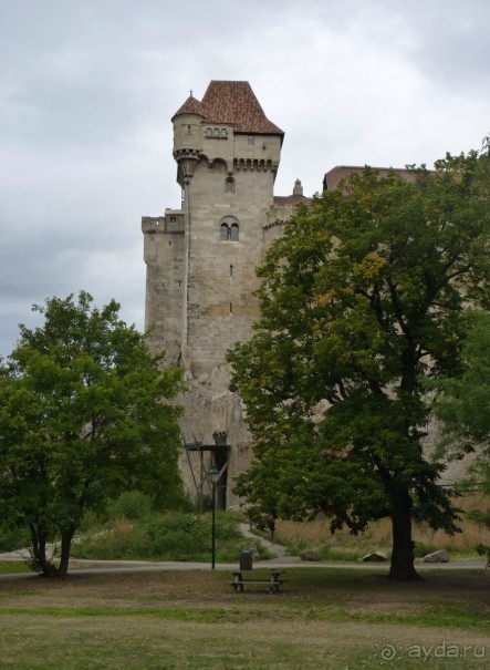 Часть 3. А впереди еще Италия и др. 