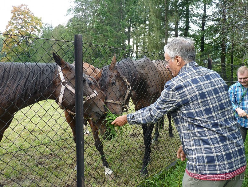 Часть 3. А впереди еще Италия и др. 