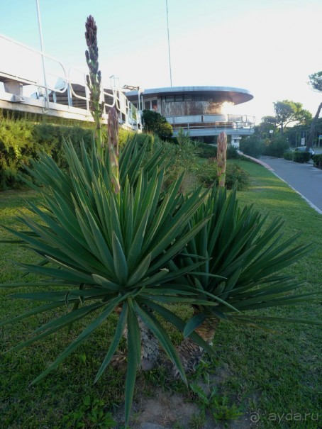 Часть 3. А впереди еще Италия и др. 