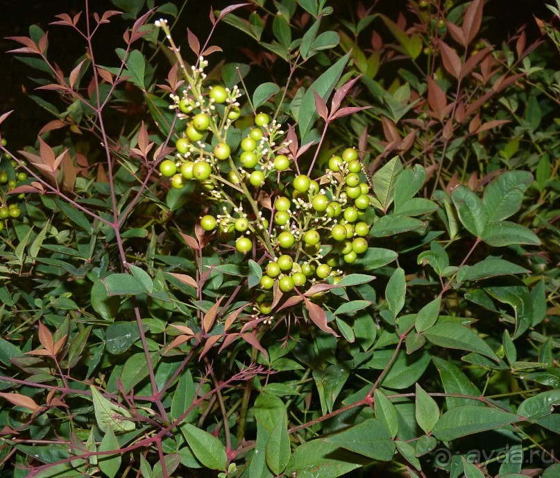 Часть 3. А впереди еще Италия и др. 