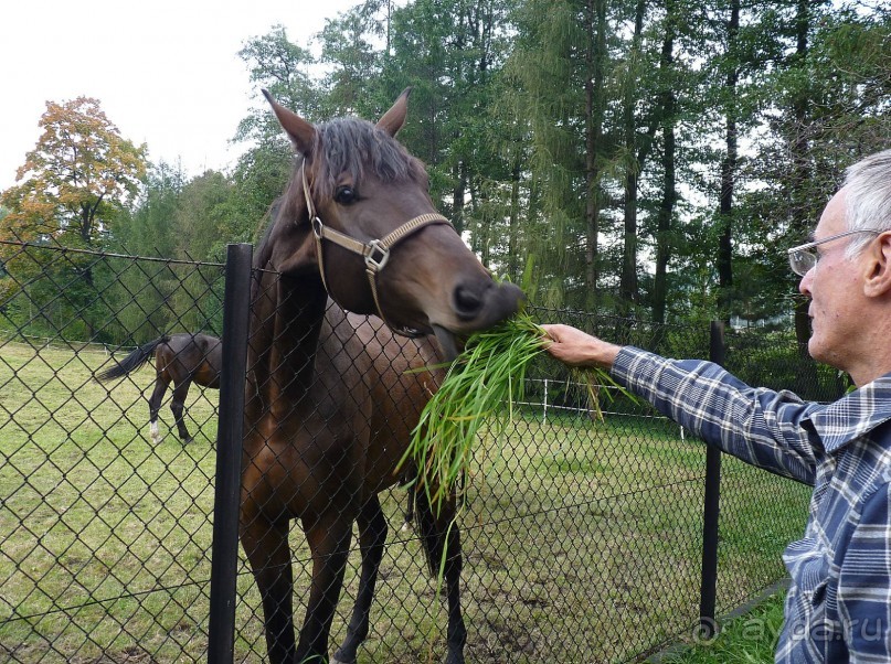 Часть 3. А впереди еще Италия и др. 