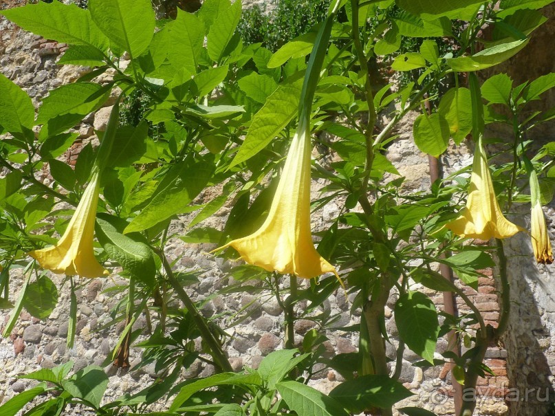 Часть 3. А впереди еще Италия и др. 