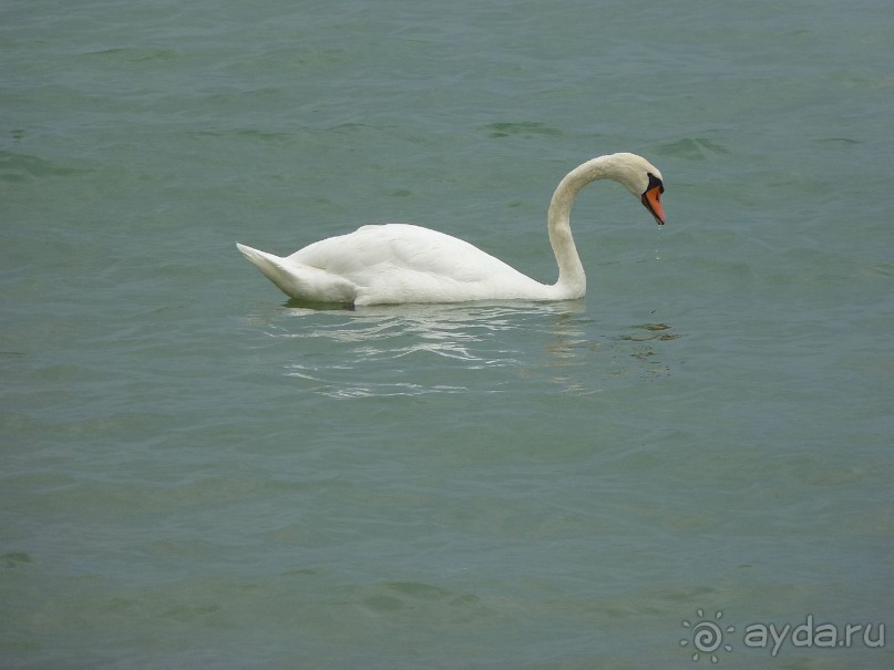 Часть 3. А впереди еще Италия и др. 