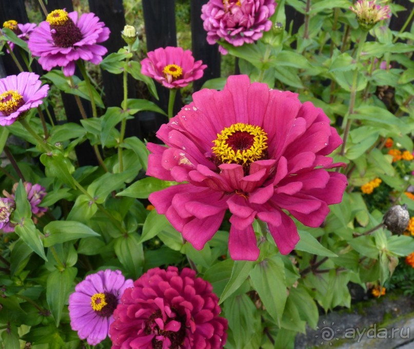 Часть 3. А впереди еще Италия и др. 