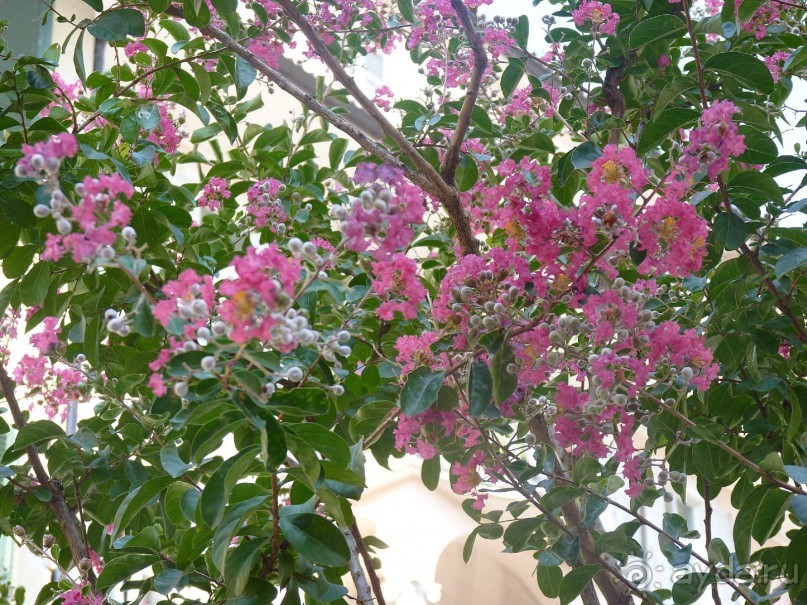 Часть 3. А впереди еще Италия и др. 