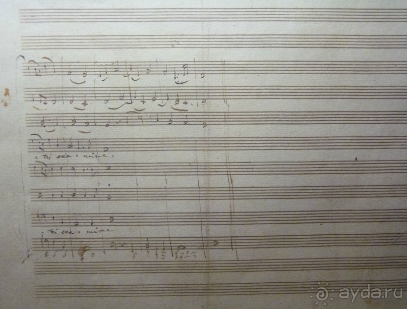 Часть 3. А впереди еще Италия и др. 